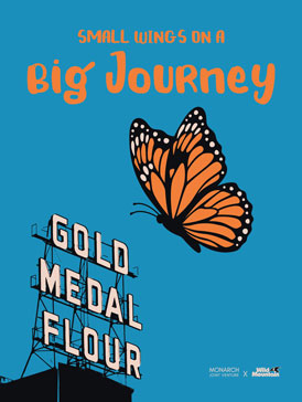 Monarch1b final SP sm